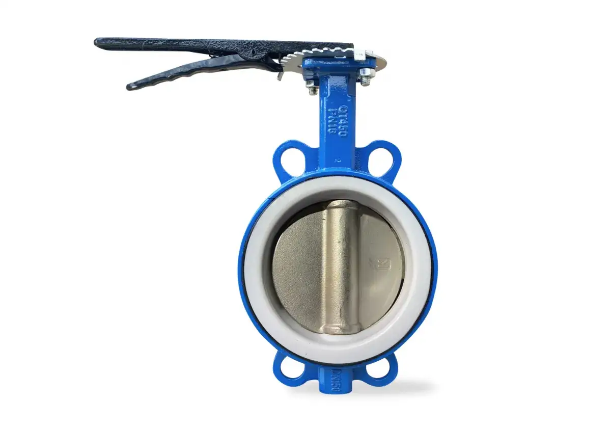 Затворы PTFE